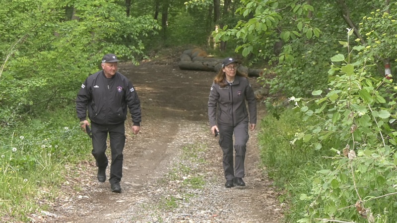 Milicija svaki dan patrolira, počinioce često uhvati na delu: Bahatim pojedincima koji prave divlje deponije mora se stati u kraj, bacaju gume, plastiku i leševe uginulih životinja bez pardona (FOTO)
