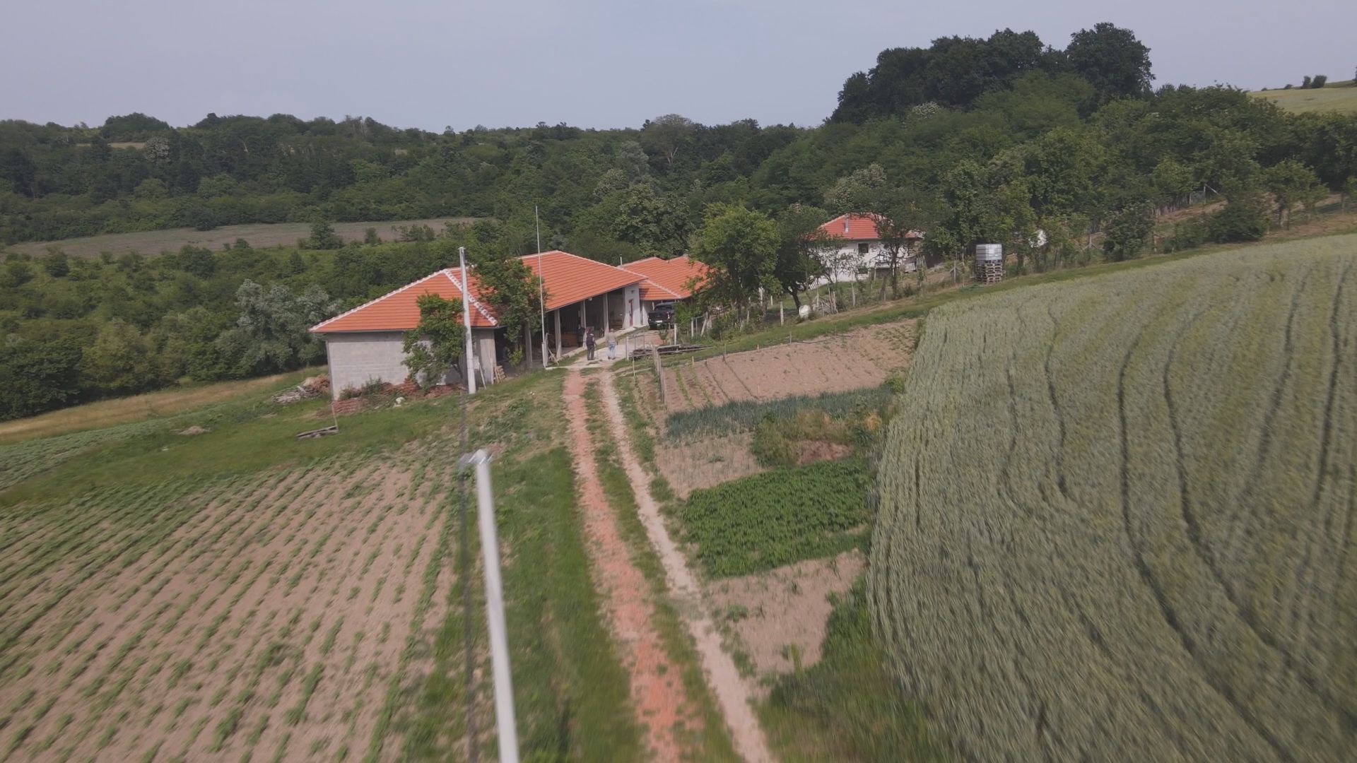 On je najstariji pčelar u Srbiji, za sezonu izvrca na stotine kila meda: Deda Staniša iz sela Dobrnje ruši vsve predrasude, ima 87 godina a radi kao mladić (FOTO)