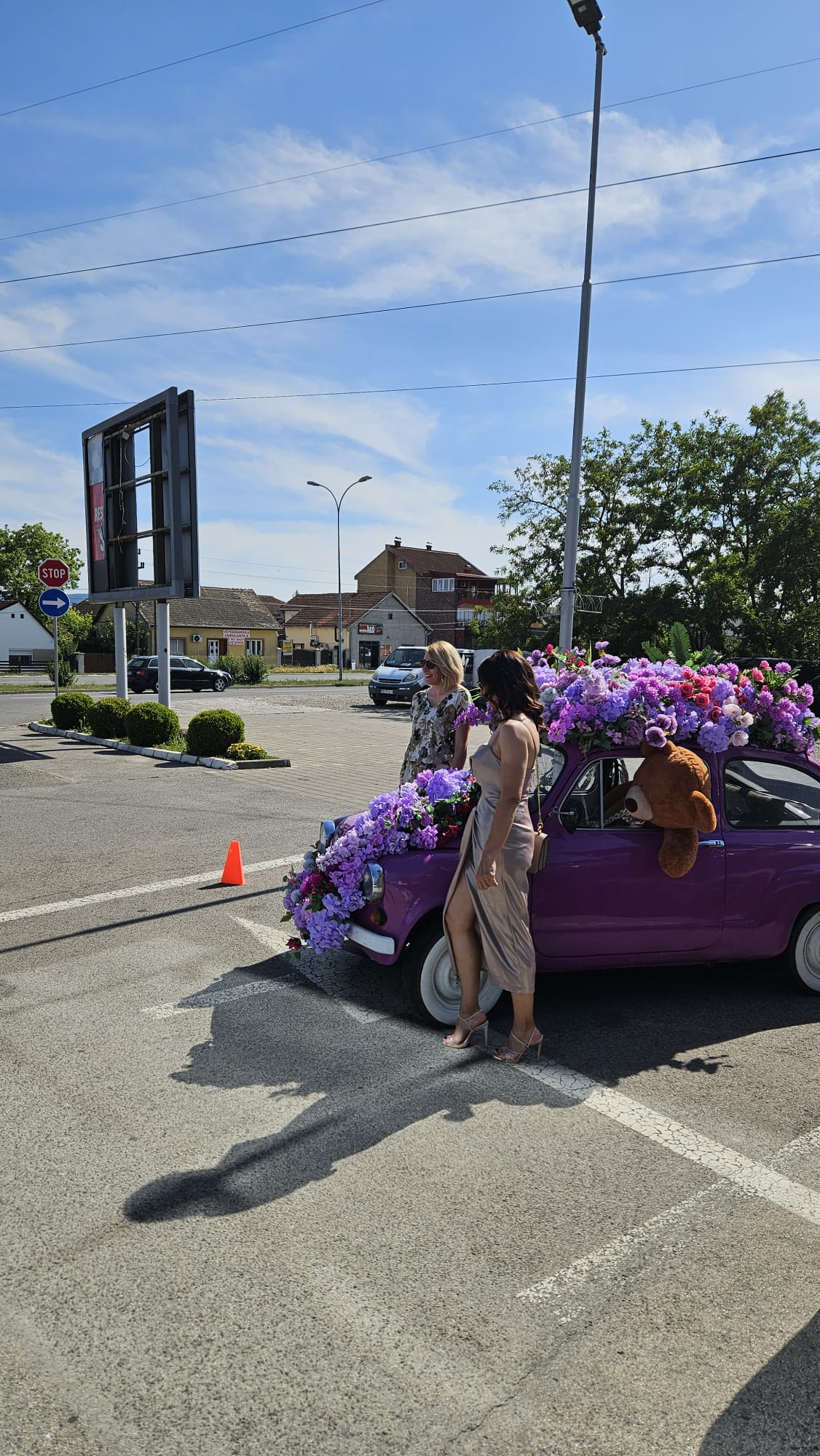 Nesvakidašnja fića uslikana u Novom Sadu / foto: RINA