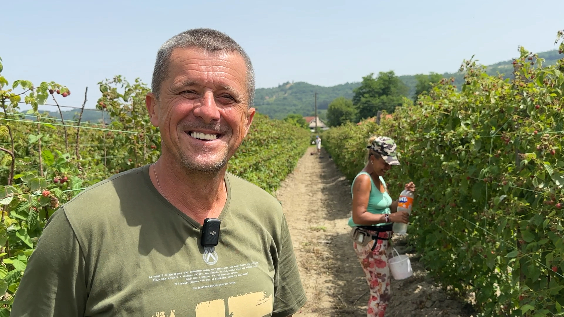 Marija i Denis beru maline po vrućini / foto: RINA
