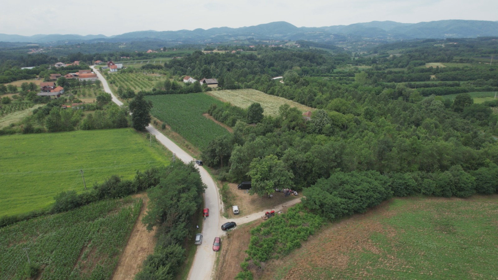 Drvo oskuruše u Lipnici je zavet tradicije i čuvar žitelja sela / foto: RINA