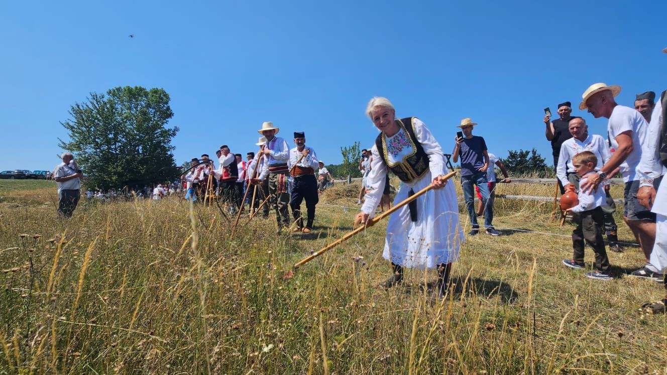 Gordana uzela kosu u ruke i zamahuje muški: Ona je jedina žena na kosačkom Vimbldonu održanom u srcu Srbije, najvažniji je prvi potez - zamah iz kuka pa zamah iz ramena/ Foto: RINA