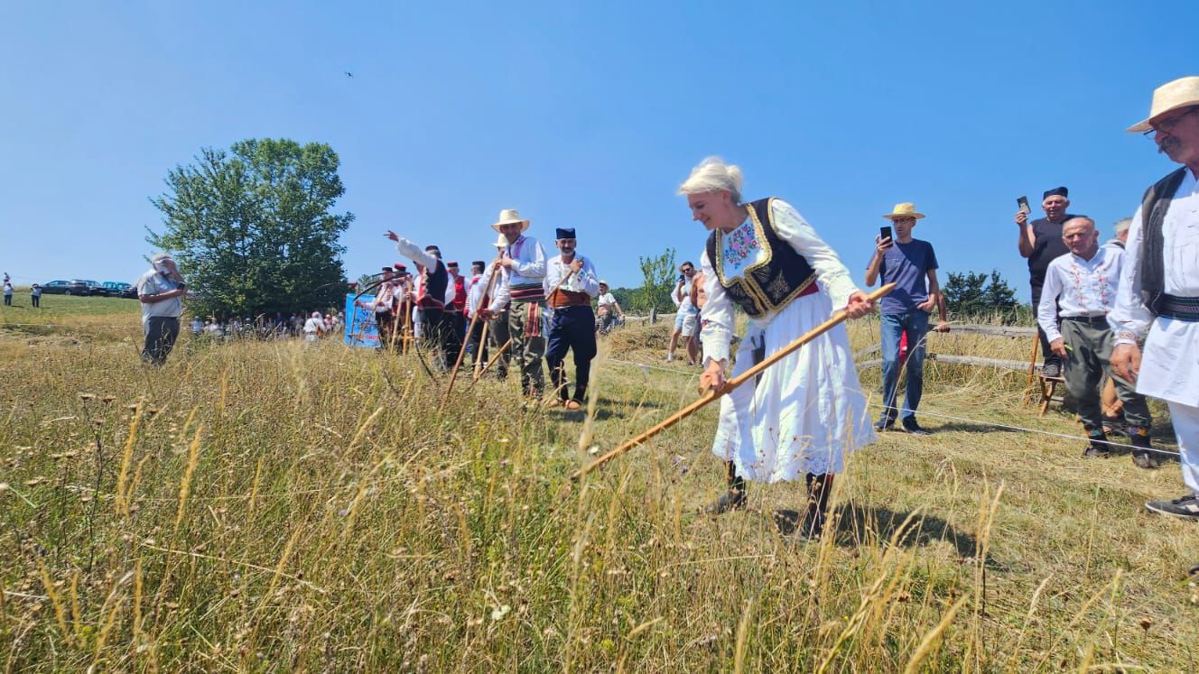 Gordana uzela kosu u ruke i zamahuje muški: Ona je jedina žena na kosačkom Vimbldonu održanom u srcu Srbije, najvažniji je prvi potez - zamah iz kuka pa zamah iz ramena/ Foto: RINA