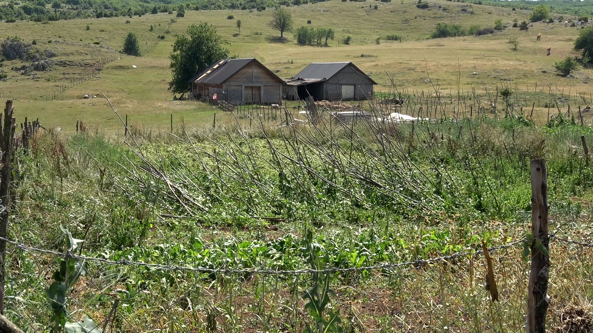 Samo smo legli na zemlju, crepovi su leteli oko nas a prikolicu je vetar nosio 10 metara po dvorištu: Turkovići iz sela Dolići opisuju nezapamćen tornado koji je pogodio Sjenicu - ovo smo do sad videli samo na filmovima (FOTO)