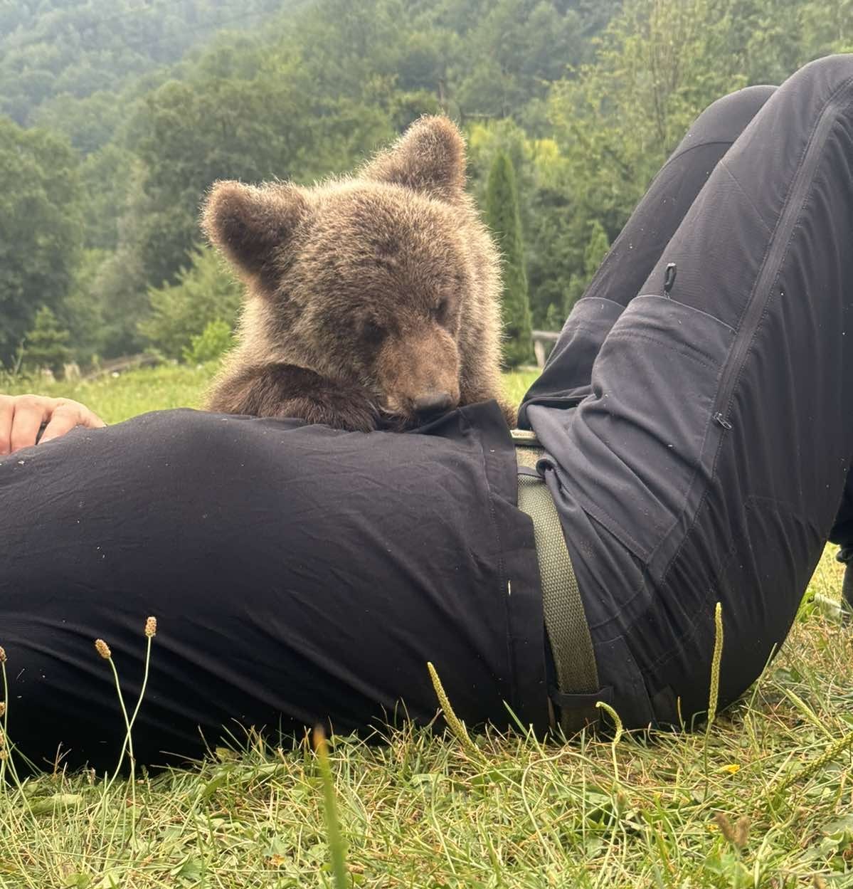 Neverovatna slika iz Bijelog Polja: Mile spasio meče iz duboke jame i doveo u svoje selo, lovočuvari ga uzeli i odneli u šumu a mladunče se iznova vraća kod ljudi i luta od vrata do vrata (FOTO)(VIDEO)