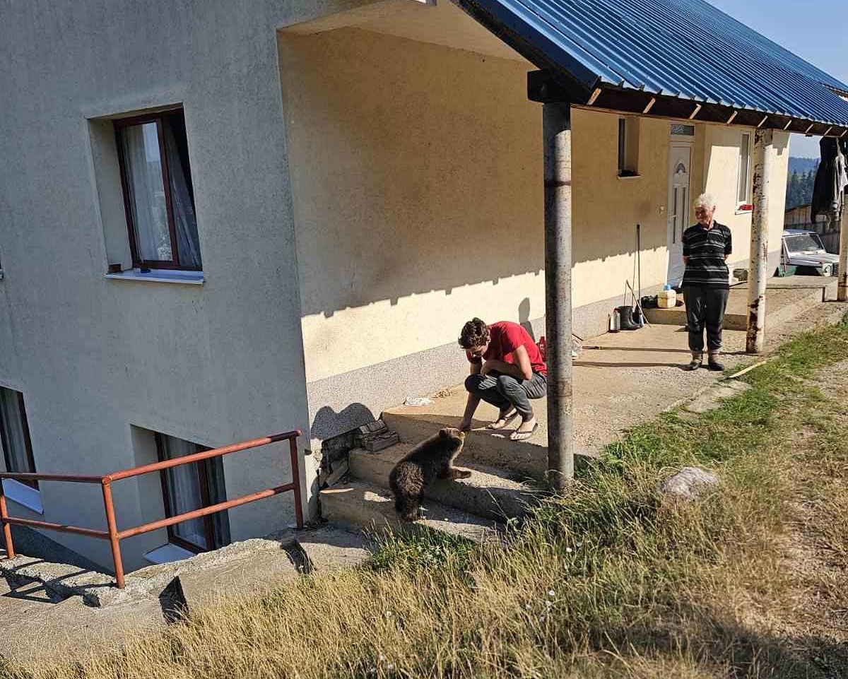 Malo meče luta od vrata do vrata i traži spas kod ljudi / Privatna arhiva