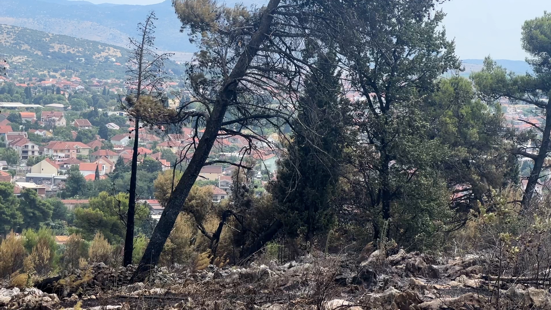 Ovako nakon lokalizacije vatrene stihije izgleda brdo Gorica/ Foto: RINA