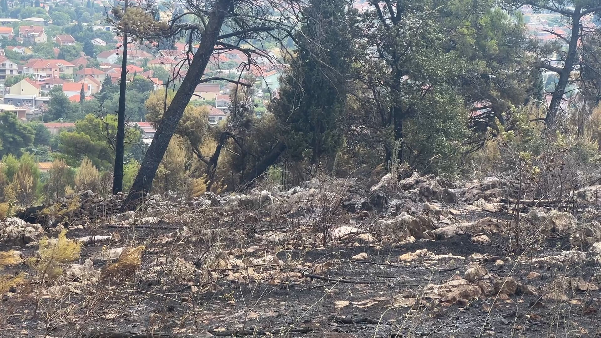 Ovako nakon lokalizacije vatrene stihije izgleda brdo Gorica/ Foto: RINA