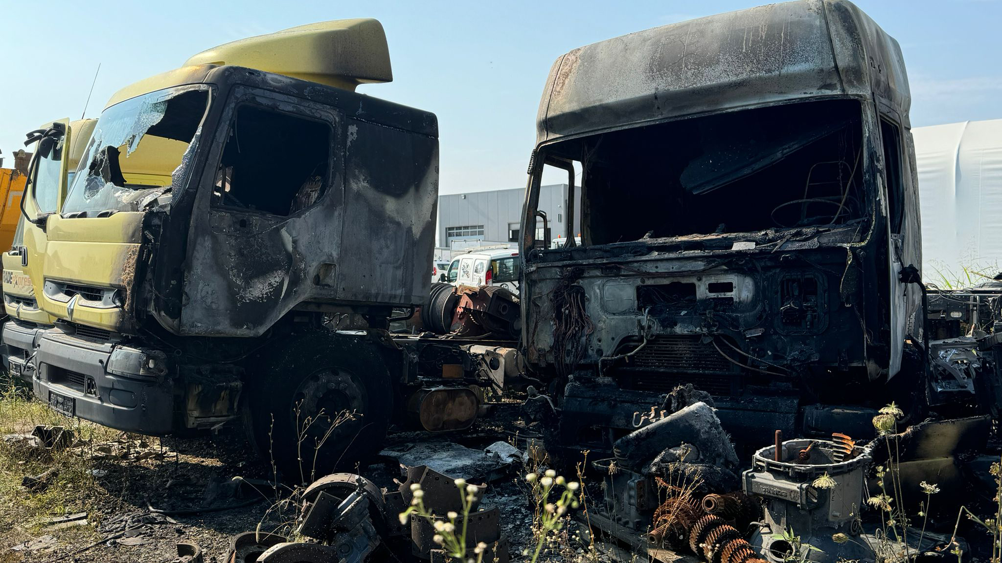 Brutalan incident u Kragujevcu / foto: Privatna arhiva