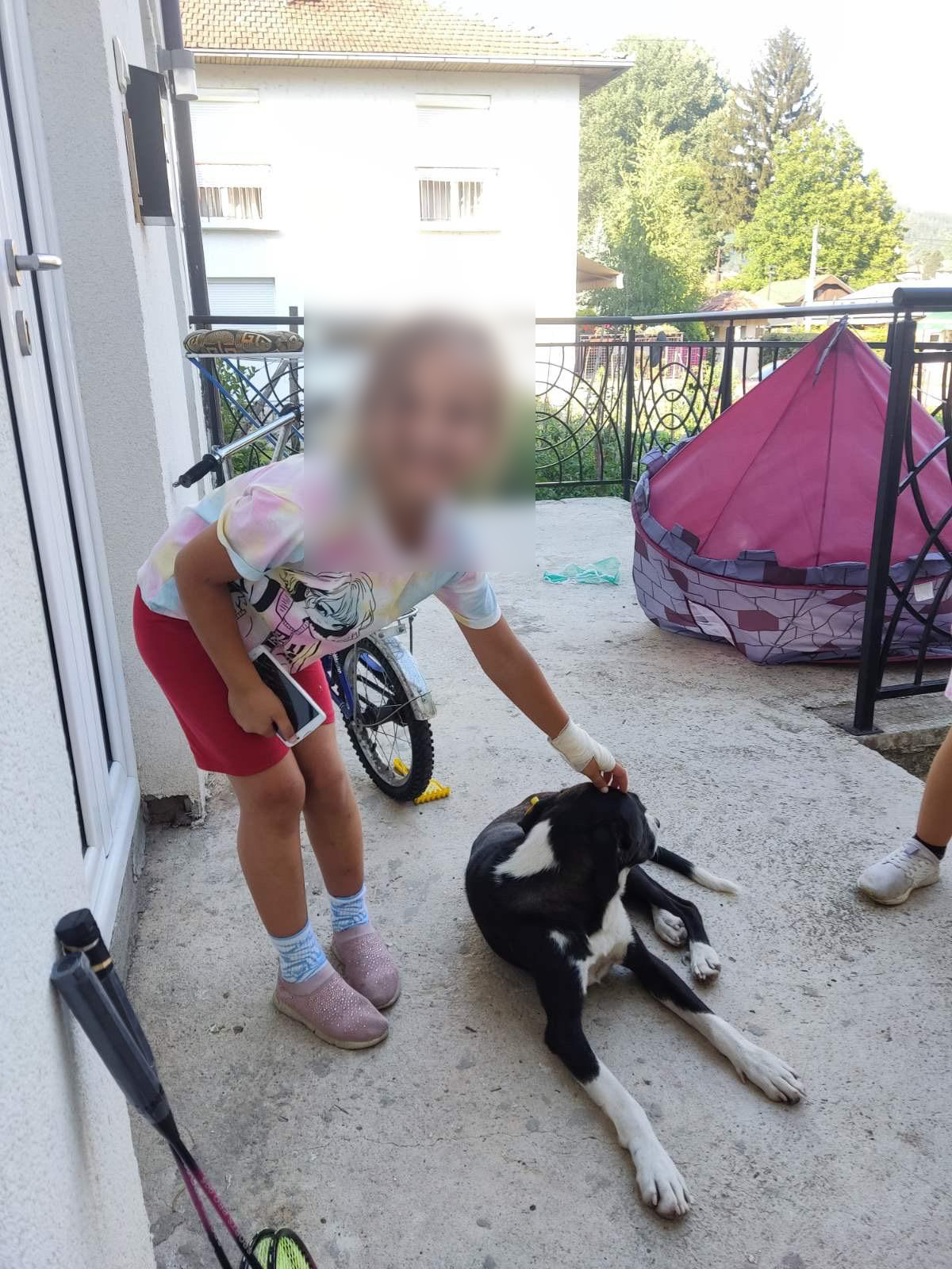 Pas lutalica napao sedmogodišnju devojčicu dok se igrala u svom dvorištu/ Foto: Privatna arhiva