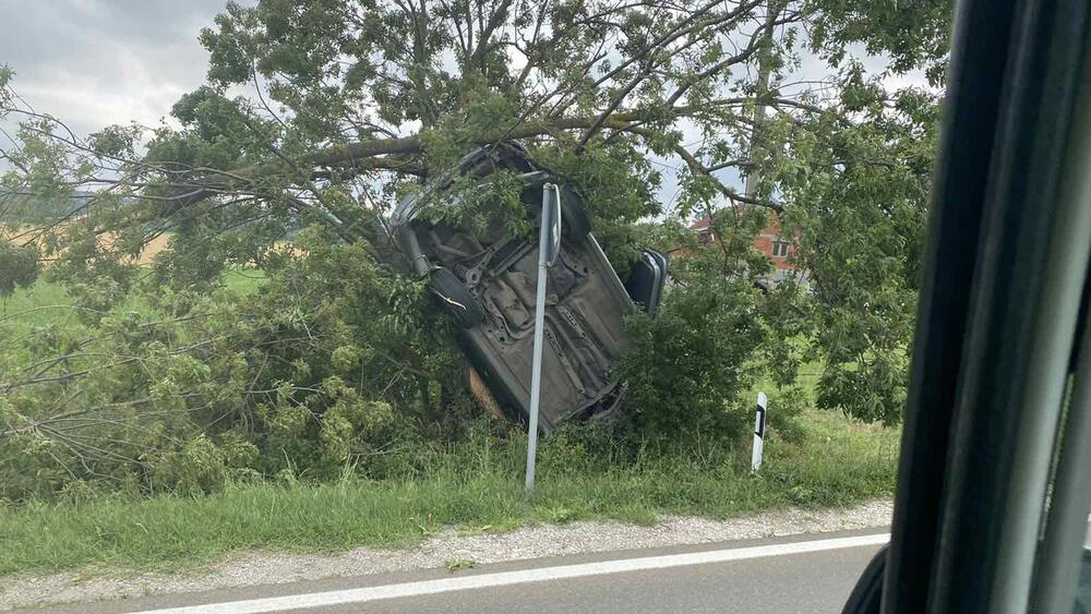 Šok u Kragujevcu: Vozač bmw-a udario u klupu, oborio drvo a potom pobegao sa lica mesta