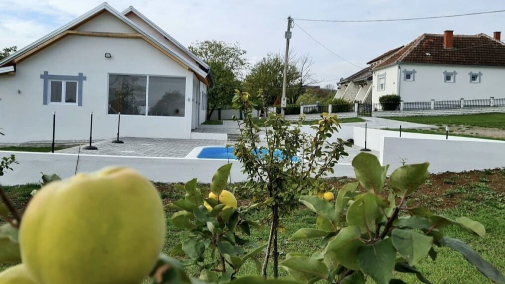 Ovo je pravi raj u srcu Šumadije: Selo Rogojevac jedno od najlepših u Srbiji, domaćin Dragan od svog imanja napravio turističku atrkaciju i sada ga posećuju gosti iz svih krajeva (FOTO)