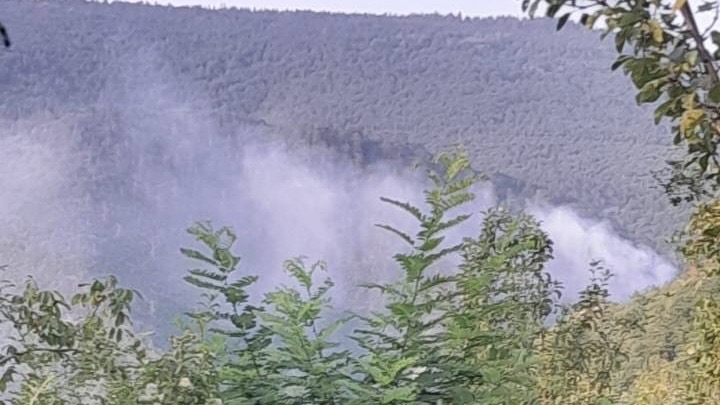 Haos kod Prijepolja, vatra guta stabla Pančićeve omorike u kanjonu Mileševke: Izbio veliki šumski požar, vatrogascima otežan pristup na lice mesta (FOTO)