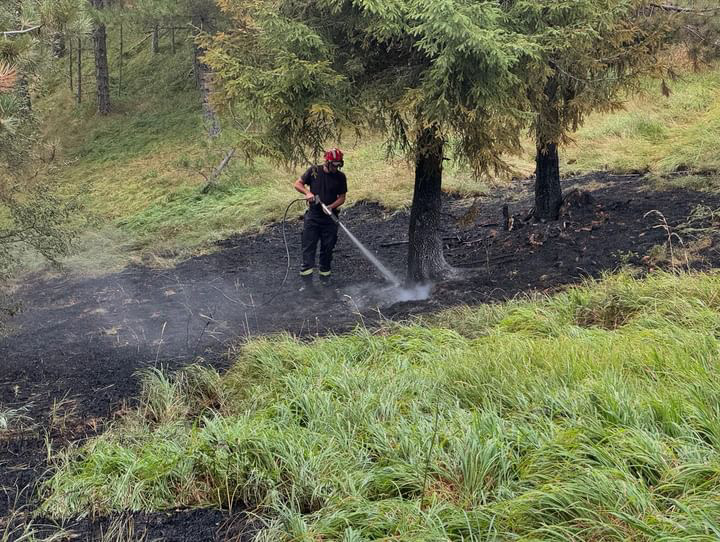 Grom udario u drvo i napravio haos: Šumski požar izbio na Tari, gase ga vatrogasci i meštani (FOTO)