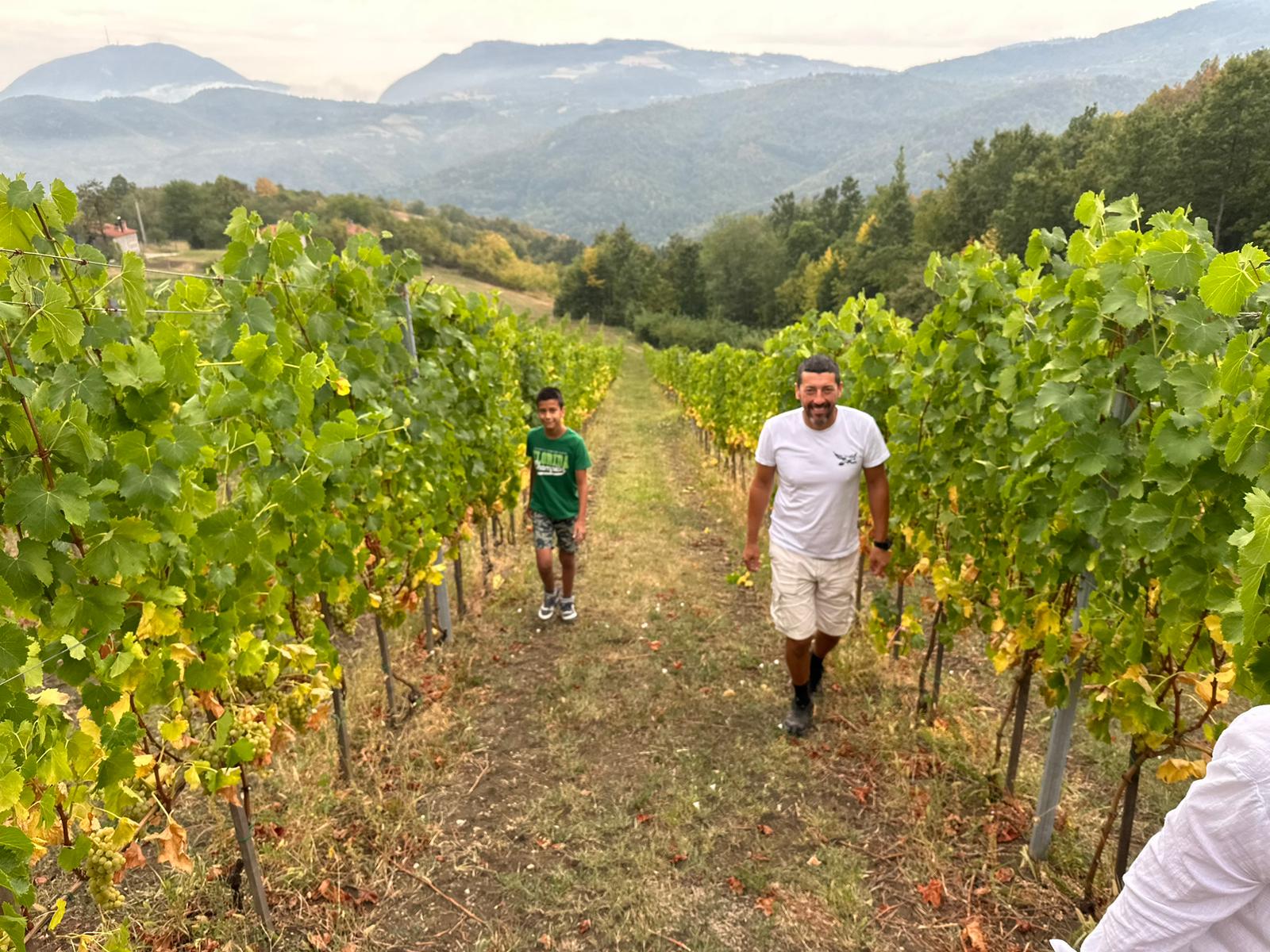 Tomići na Kablaru imaju vinograde / foto: RINA