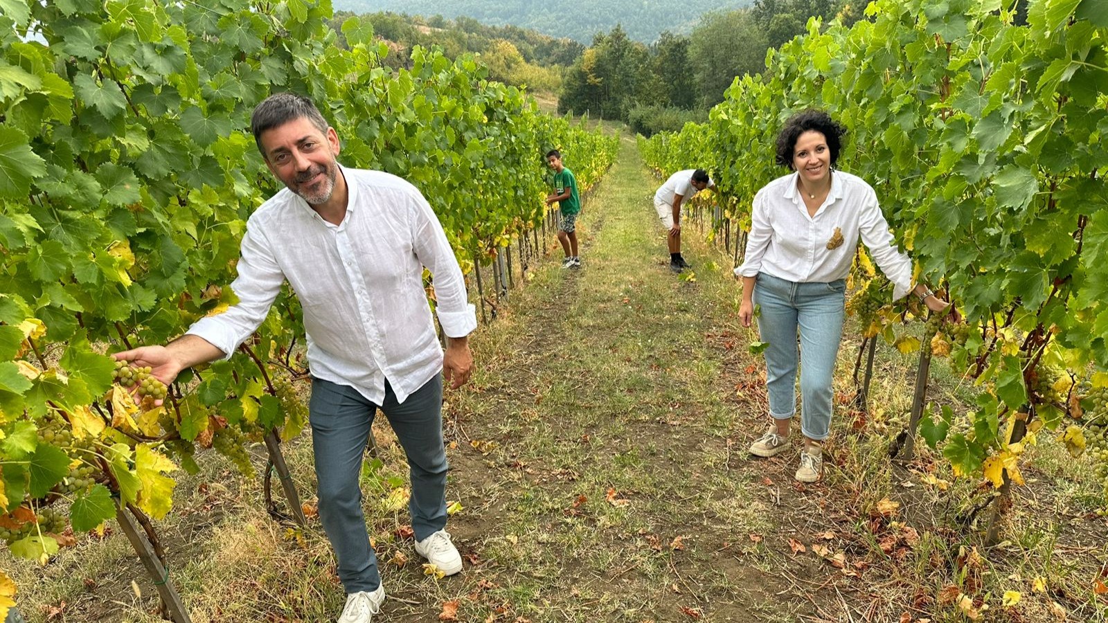 Berba grožđa zbog suše počela ranije: Tomići na Kablaru imaju velićanstvene vinograde, po staroj porodičnoj recepturu prave kvalitetna vina (FOTO)