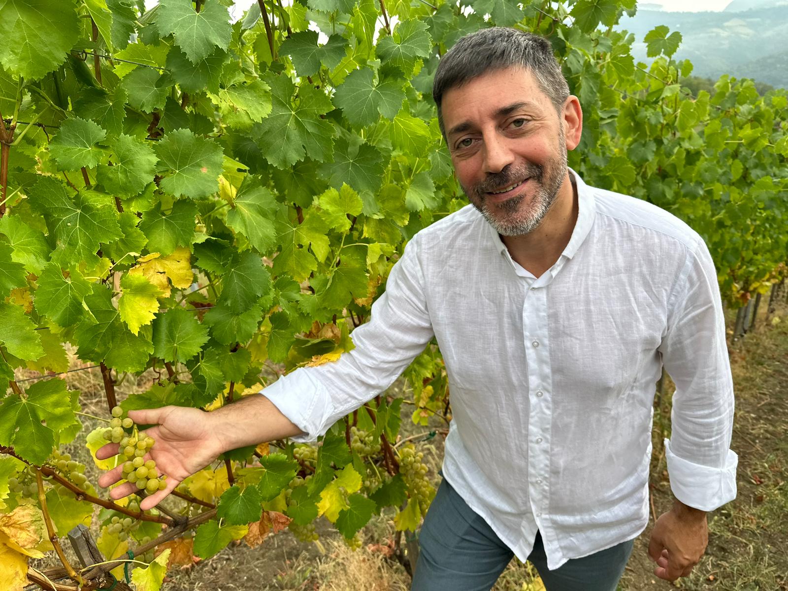 Tomići na Kablaru imaju vinograde / foto: RINA
