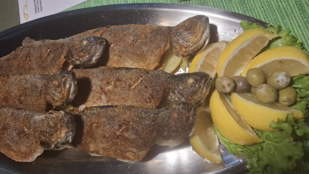 Ovo je srpsko selo u kom je nastao prvi privatni ribnjak u Jugoslaviji: Danas je tu restoran - na meniju samo četiri specijaliteta a gosti dolaze sa svih strana sveta (FOTO)