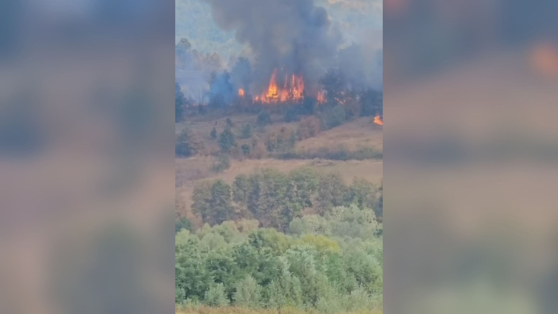 Gust crni dim je prekrio čitav kraj: Ogroman požar izbio u Petropolju kod Kraljeva, na lice mesta hitno upućeni vatrogasci-spasioci (FOTO)(VIDEO)