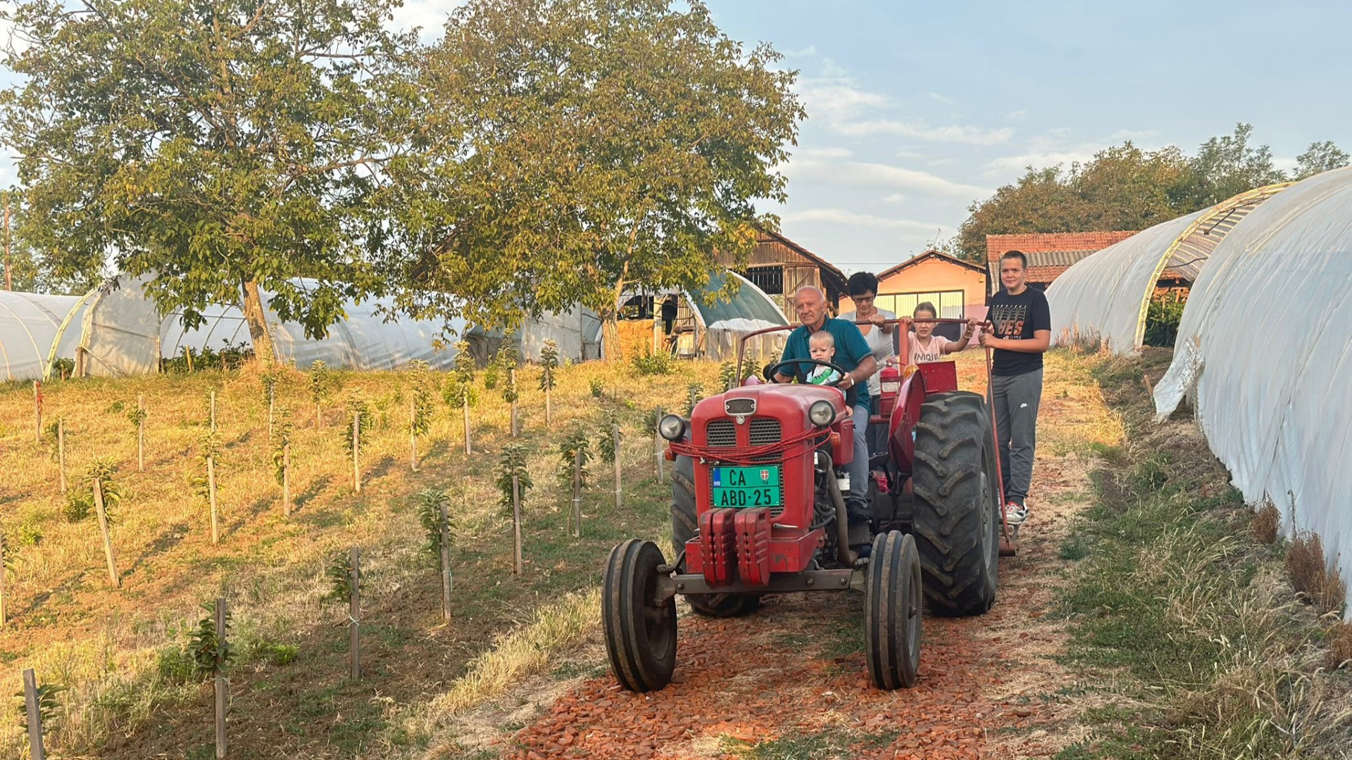 Odličan rod paprike u domaćinstvu Milojevića / foto: RINA