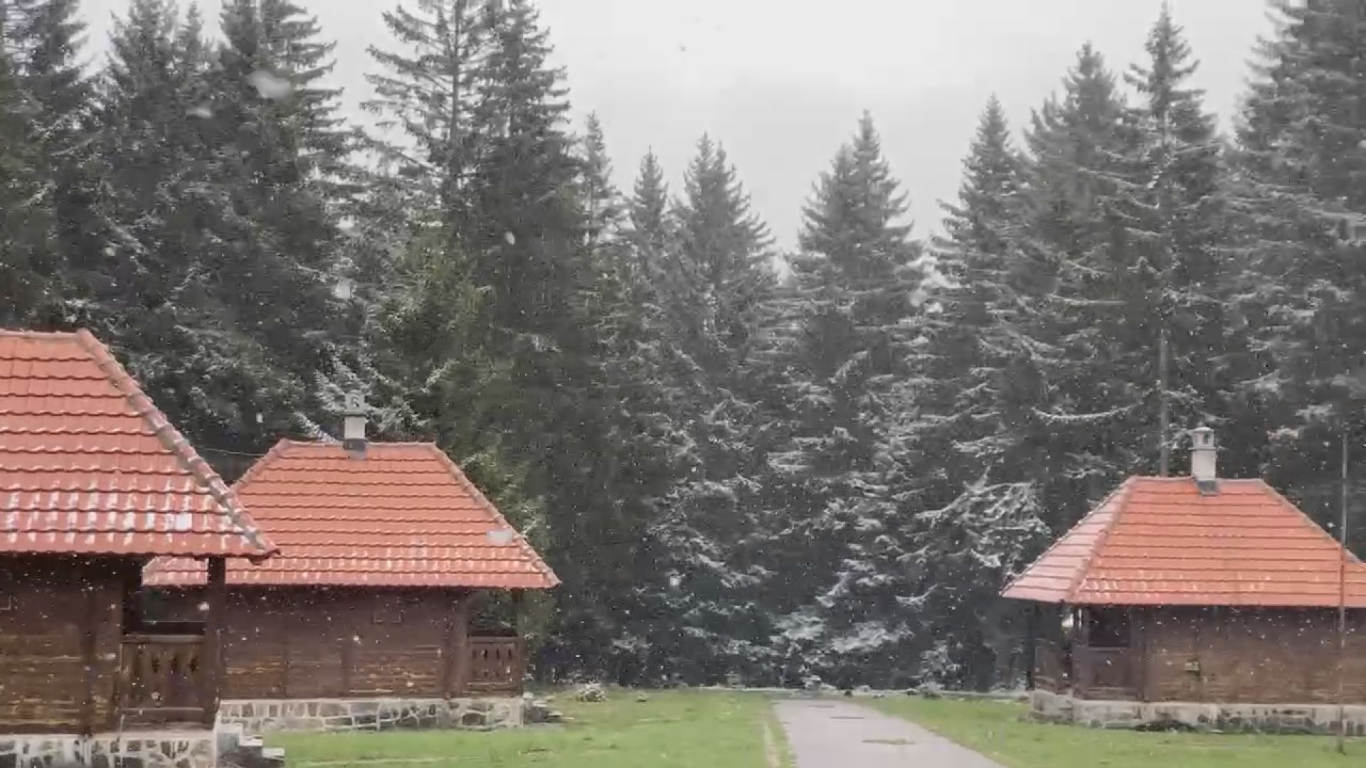 Nakon 30 stepeni - zima: Ledene slike sa Golije, sneg pada duže od sat vremena a najviši vrhovi već obeleli (FOTO)