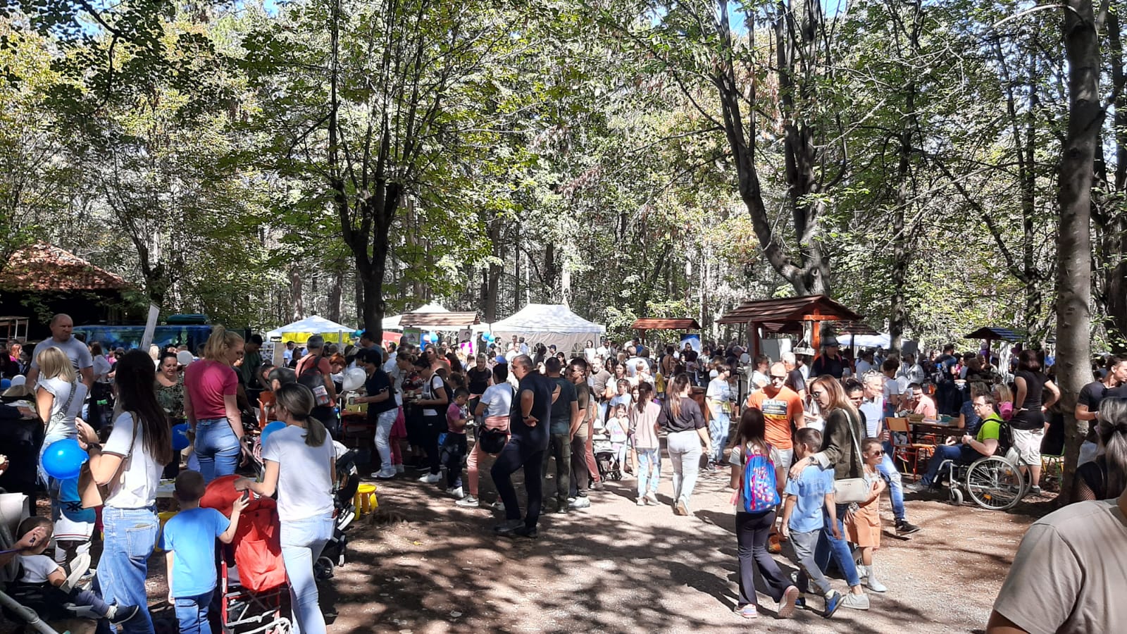 Dečji festival održan na Oplencu / foto: RINA