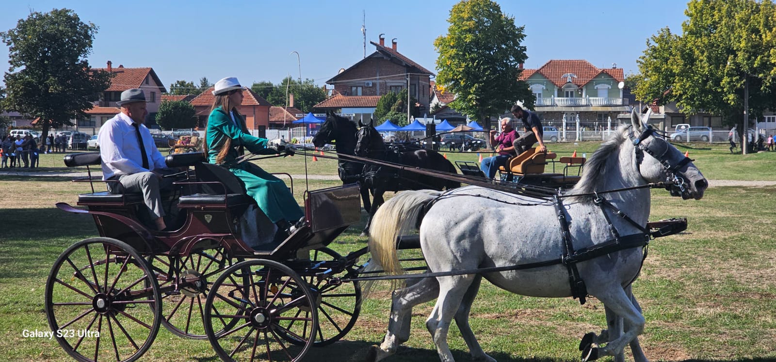 Kobile koštaju i po nekoliko hiljada evra, oprema još skuplja: Zaljubljenici u ovaj sport ne žale para za rasne životinje, jedinstvena manifestacija održana u Svilajncu (FOTO)