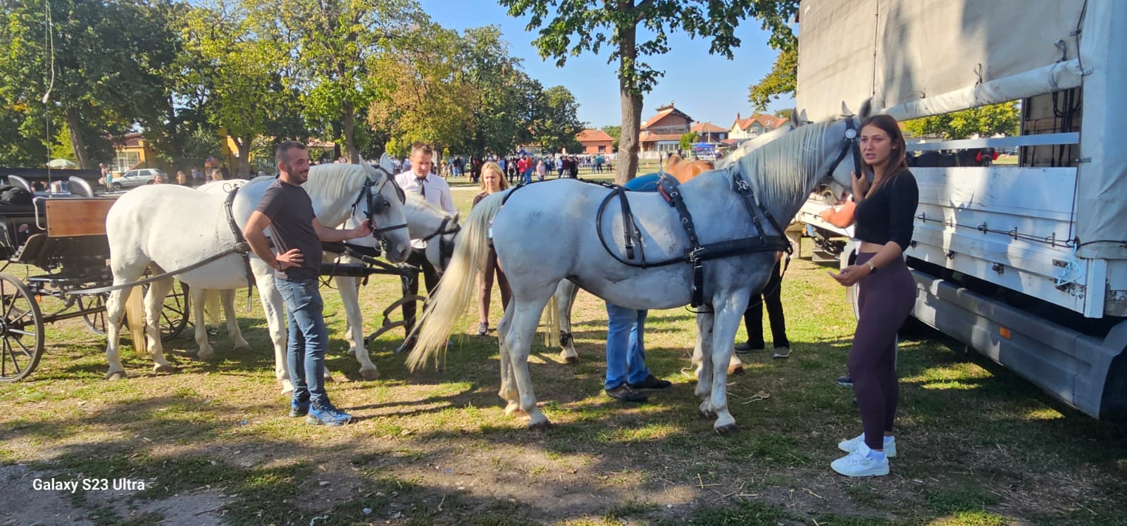 Konjički sabor održan u Svilajncu / foto: RINA