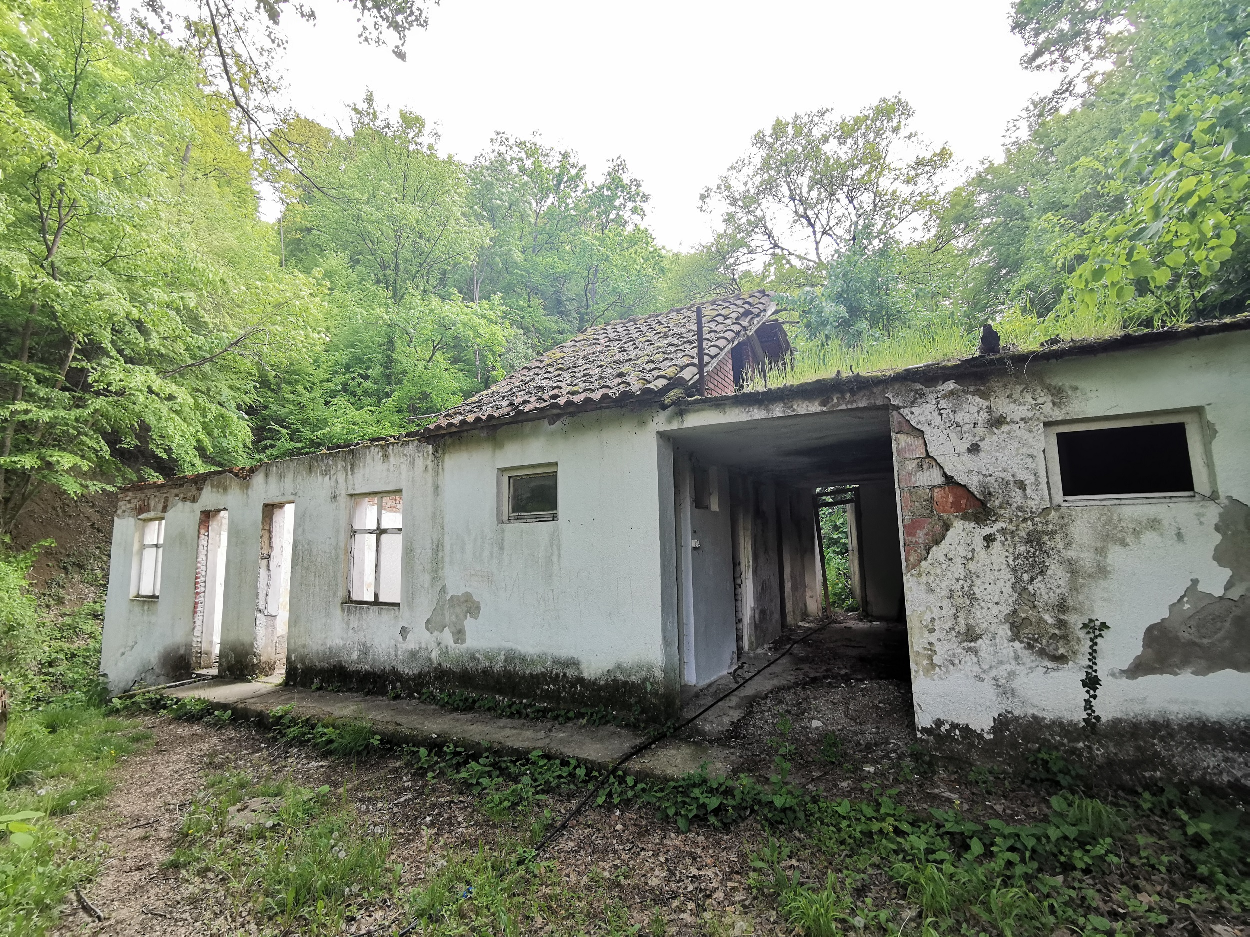 Profesora iz gipsa podiglo na noge, mnogi nisu mogli da se kreću a odavde su otišli bez štaka: Čudesna banja imeđu tri svetinje u srcu Šumadije propada, ljudi u balone od 200 litara toče lekovitu vodu (FOTO)