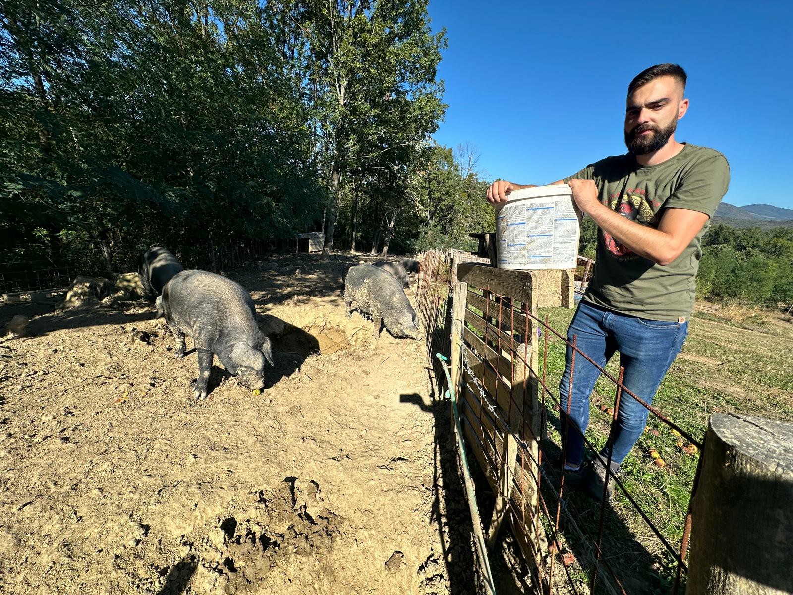 Bivši fudbaler vratio se u rodno selo i uzgaja svinje / foto: RINA