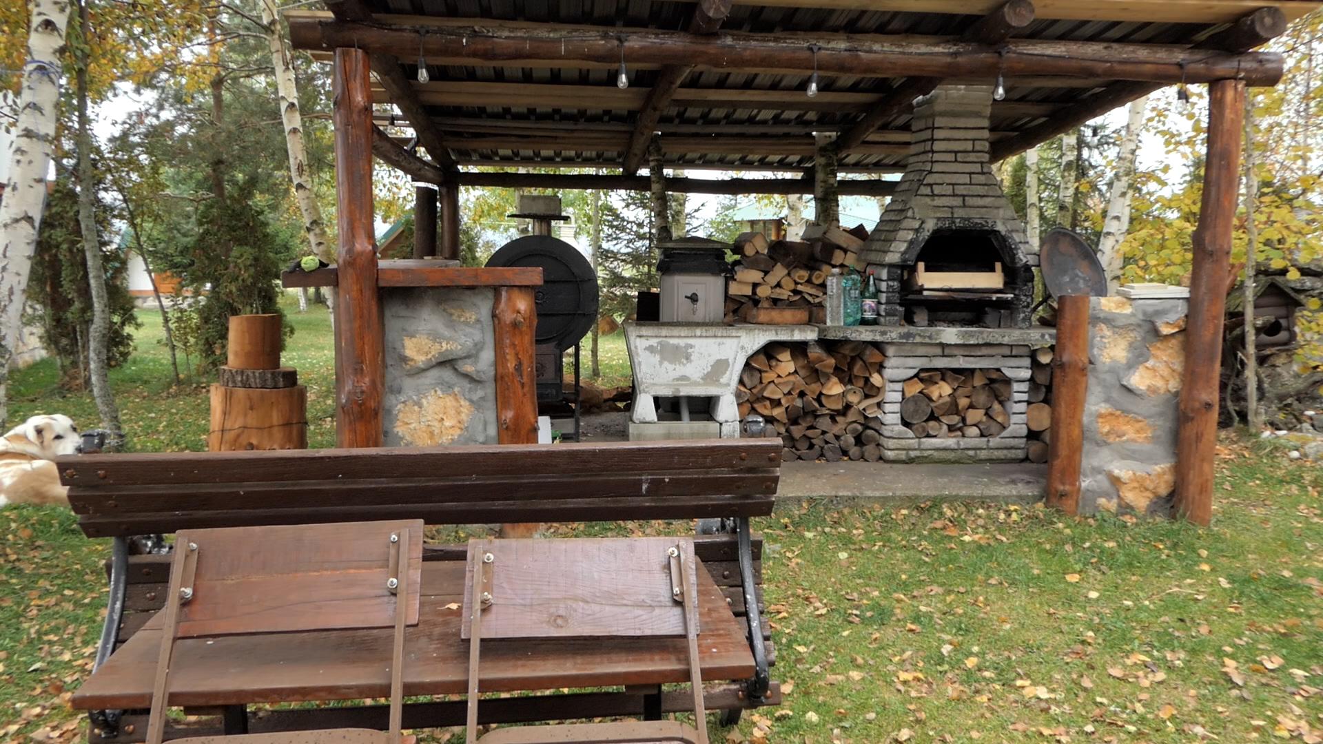 Vratio se na dedovinu i napravio raj u nestvarnoj prirodi: Edževid se nikad pokajao zbog odluke da napusti grad, Karajukića bunari su najhladnije ali i jedno od najlepših sela u Srbiji (FOTO)