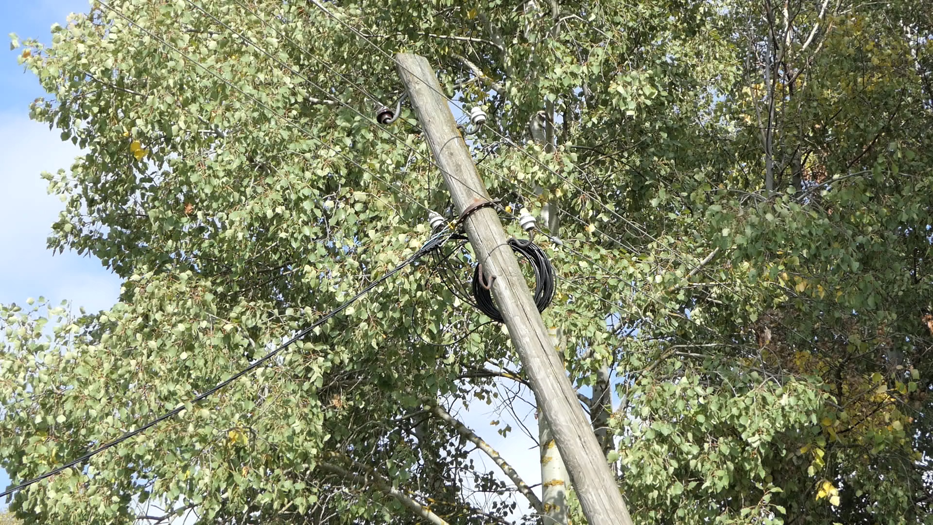 Meštani imaju veliki problem sa strujom i stubovima koji trunu/ Foto: RINA