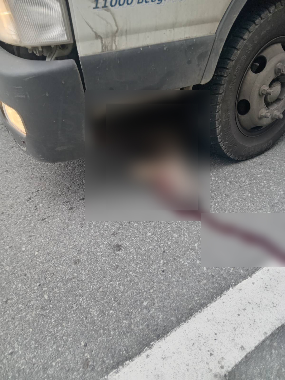 Srna izletela pod točkove kamiona kod Priboja / foto: RINA