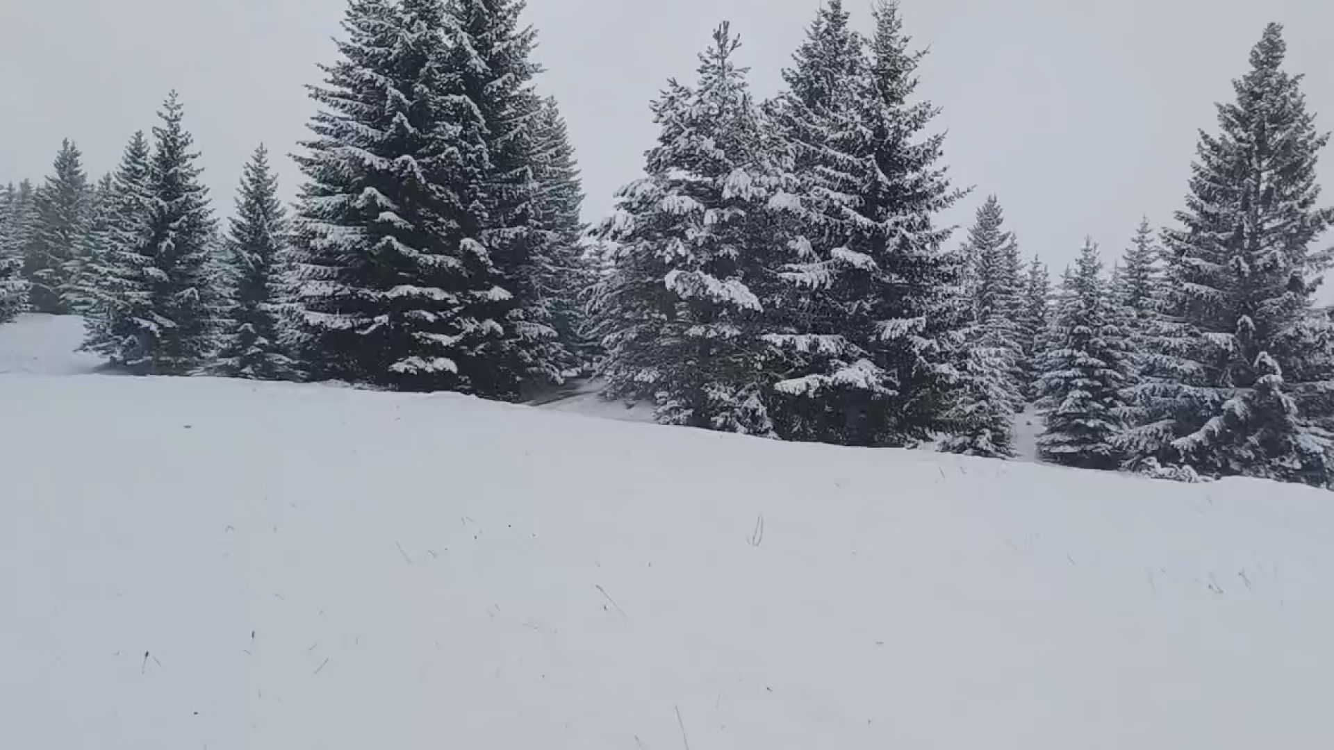 Pada od dva noćas, zavejalo planine i sela: Prvi sneg se u Novoj Varoši i Prijepolju nimalo ne šali, nadležne ekipe satima na terenu (FOTO)