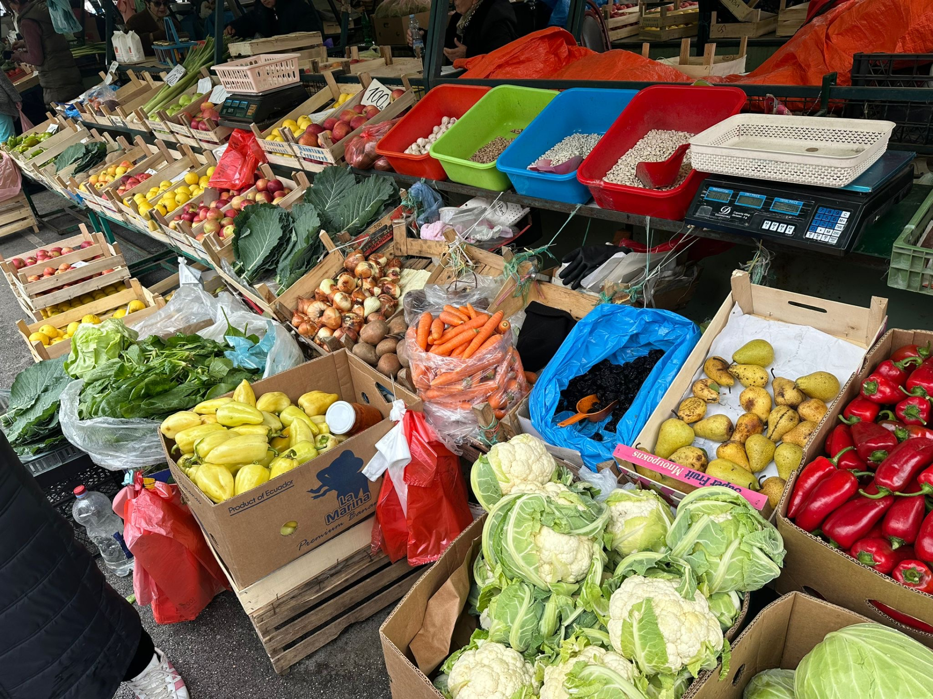 Domaćice ubrzano spremaju zimnicu / foto: RINA