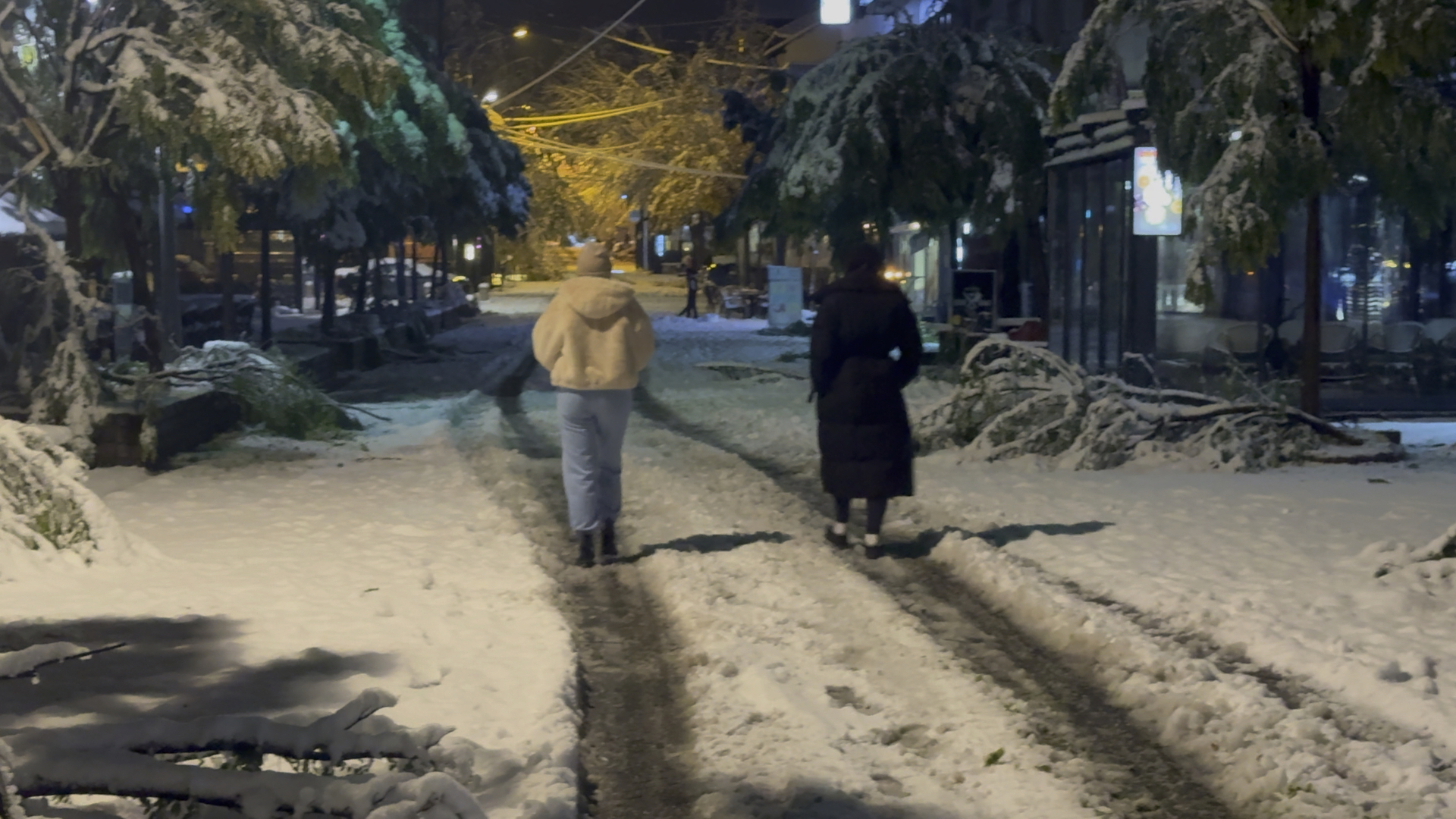 Sneg napravio haos u centru Novog Pazara, pokidane grane na drveću a veliki broj ljudi ostao bez struje: Uz veliki trud neumornih putara, svi pravci u trenutno prohodni (FOTO)
