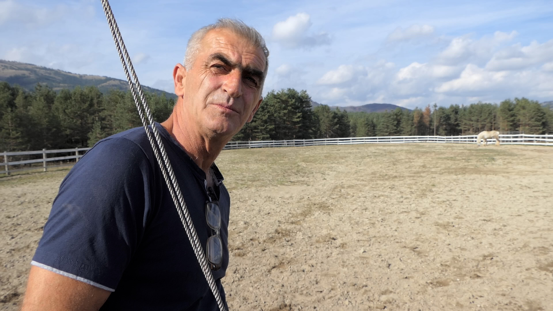 Medo i Sultan su najteži konji u Srbiji / foto: RINA