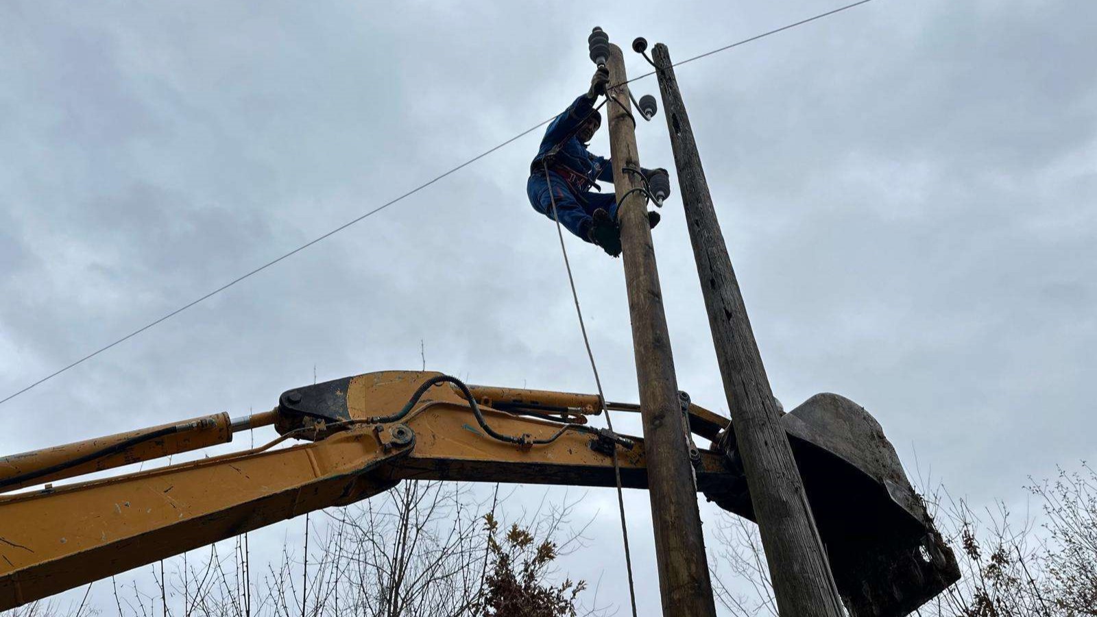 Pod težinom snega palo stablo visoko preko 30 metara: Radnici Elektrodistrubicije na terenu hitno sanirali kvar nastao na elektro-mreži 