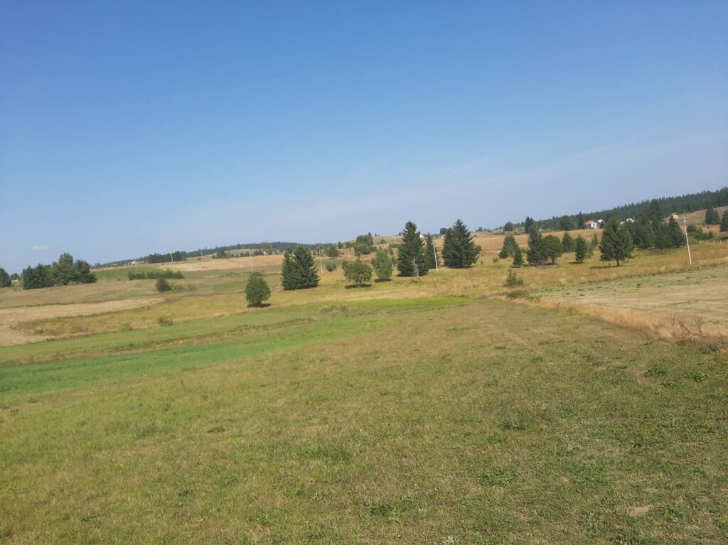 U ovom selu nekada je bio pogon za proizvodnju obuće, danas je to ruševina: Babine kod Prijepolja polako umiru, u školi samo tri đaka (FOTO)