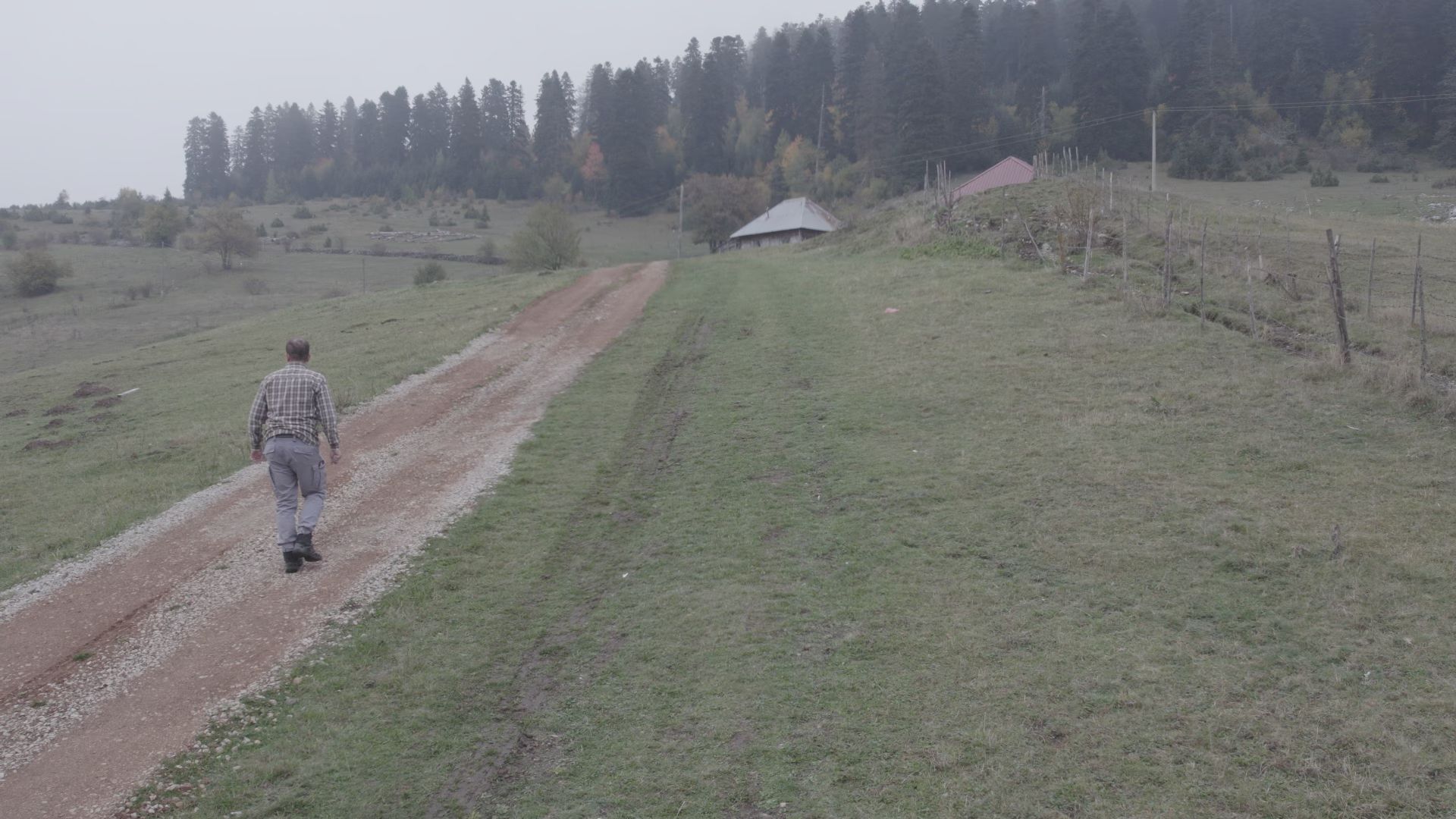 Niko ne sme ni graničicu da uzme, svako ko se ohrabrio loše je prošao: Šumu Gutavicu u selu Ugao nazivaju "ukletom" i "čarobnom", meštani je vole ali i rado zaobilaze (FOTO)