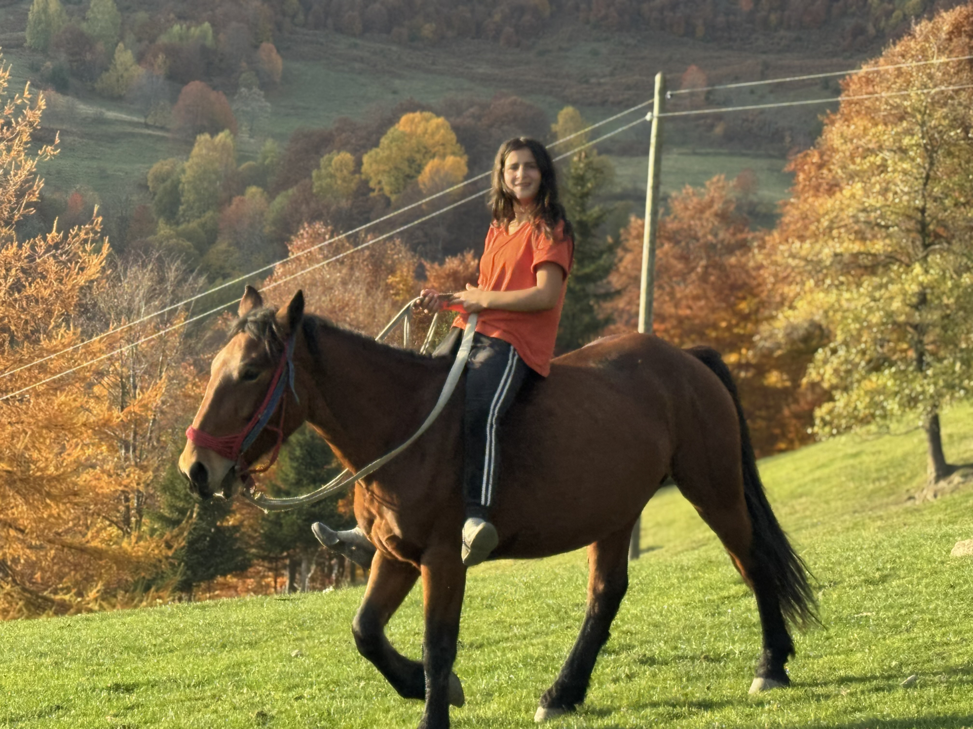 Papreno skupa zemlja, ali je on daje džabe: Vid sa Golije poklanja 10 ari svog imanja, ovaj pošteni domaćin ima samo jedan uslov (FOTO)