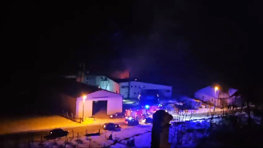Požar u dragačevskoj peletari / foto: RINA