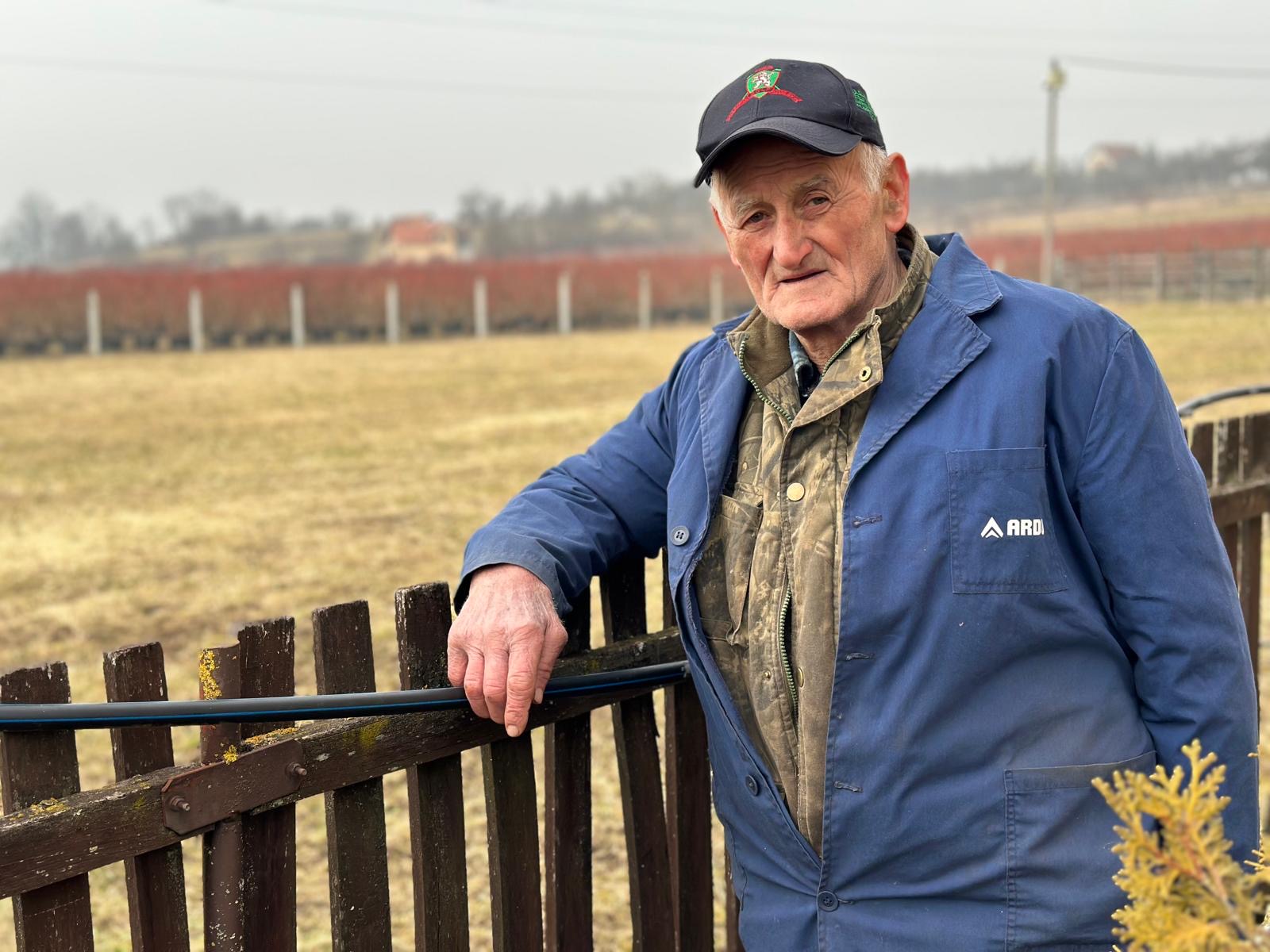 Borovnice su “plavo zlato”, ali ova voćka zahteva posebnu pažnju: Milorad iz sela Trnava ima osamdeset godina, ali ne odustaje od rada - rezultati ne izostaju/ Foto: RINA