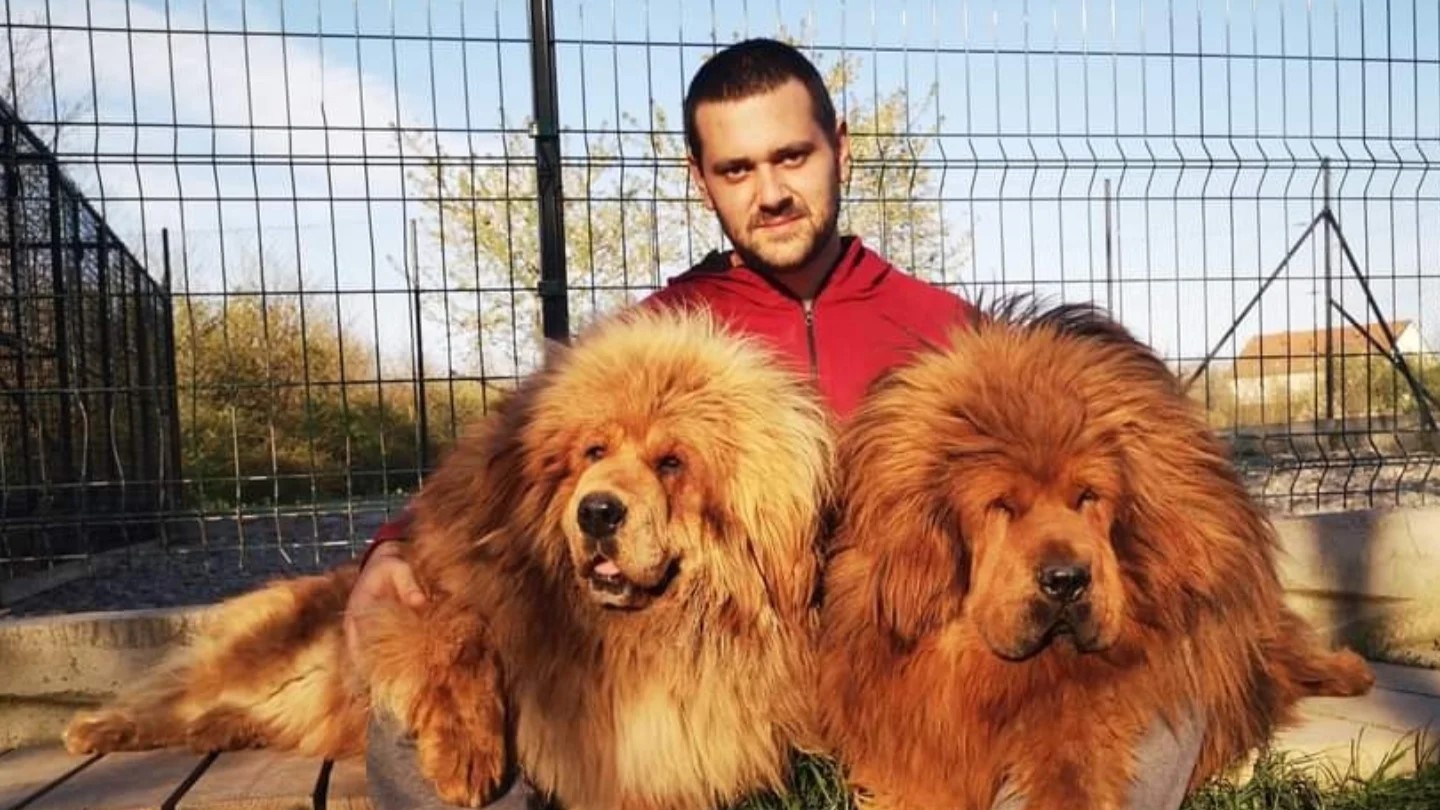Nevena i Zoran sa svojim psima / foto: Privatna arhiva