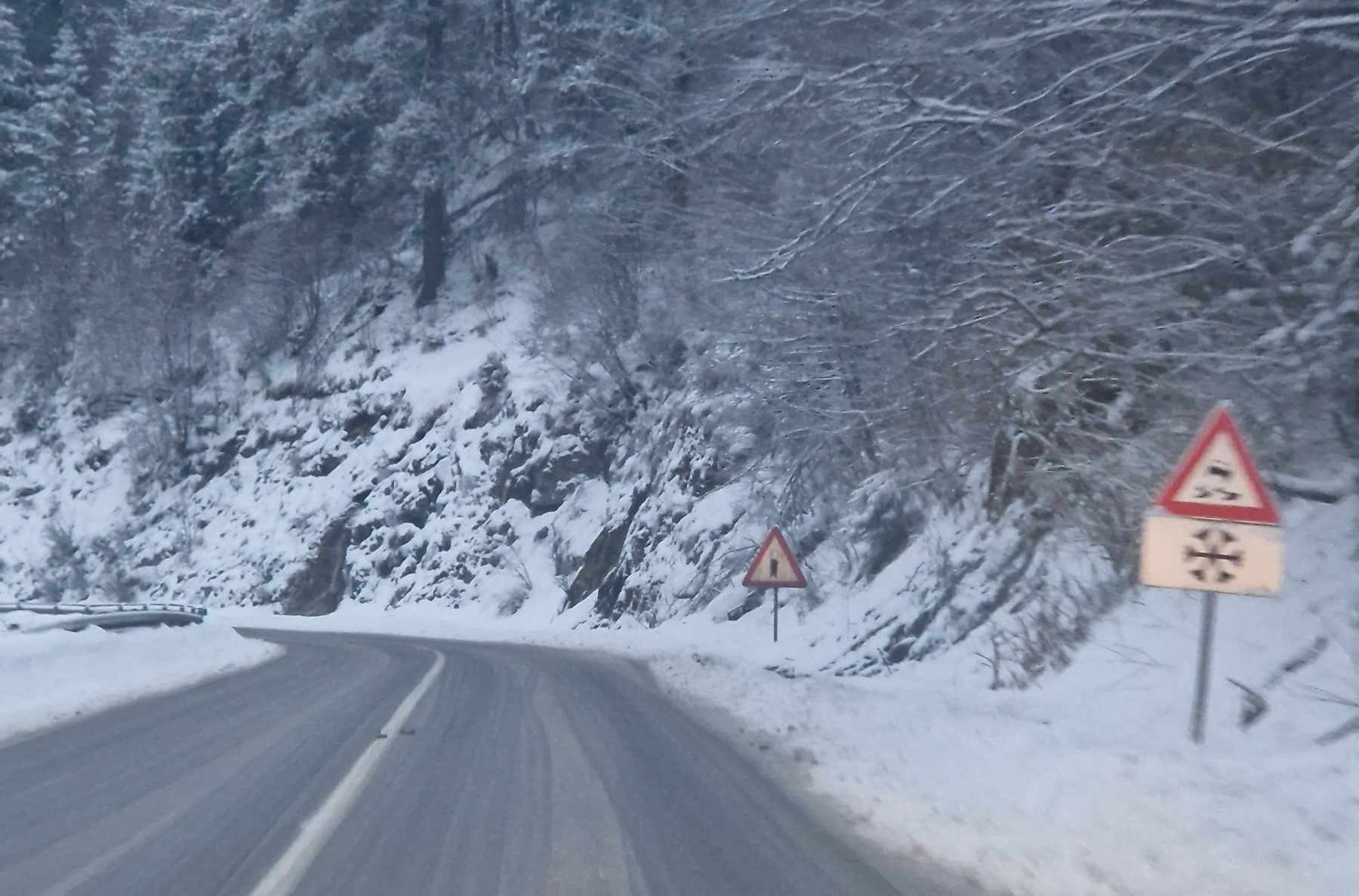 Baba Marta stegla zube: Sneg tokom noći okovao zlatiborski i novovaroški kraj, putevi prohodni 