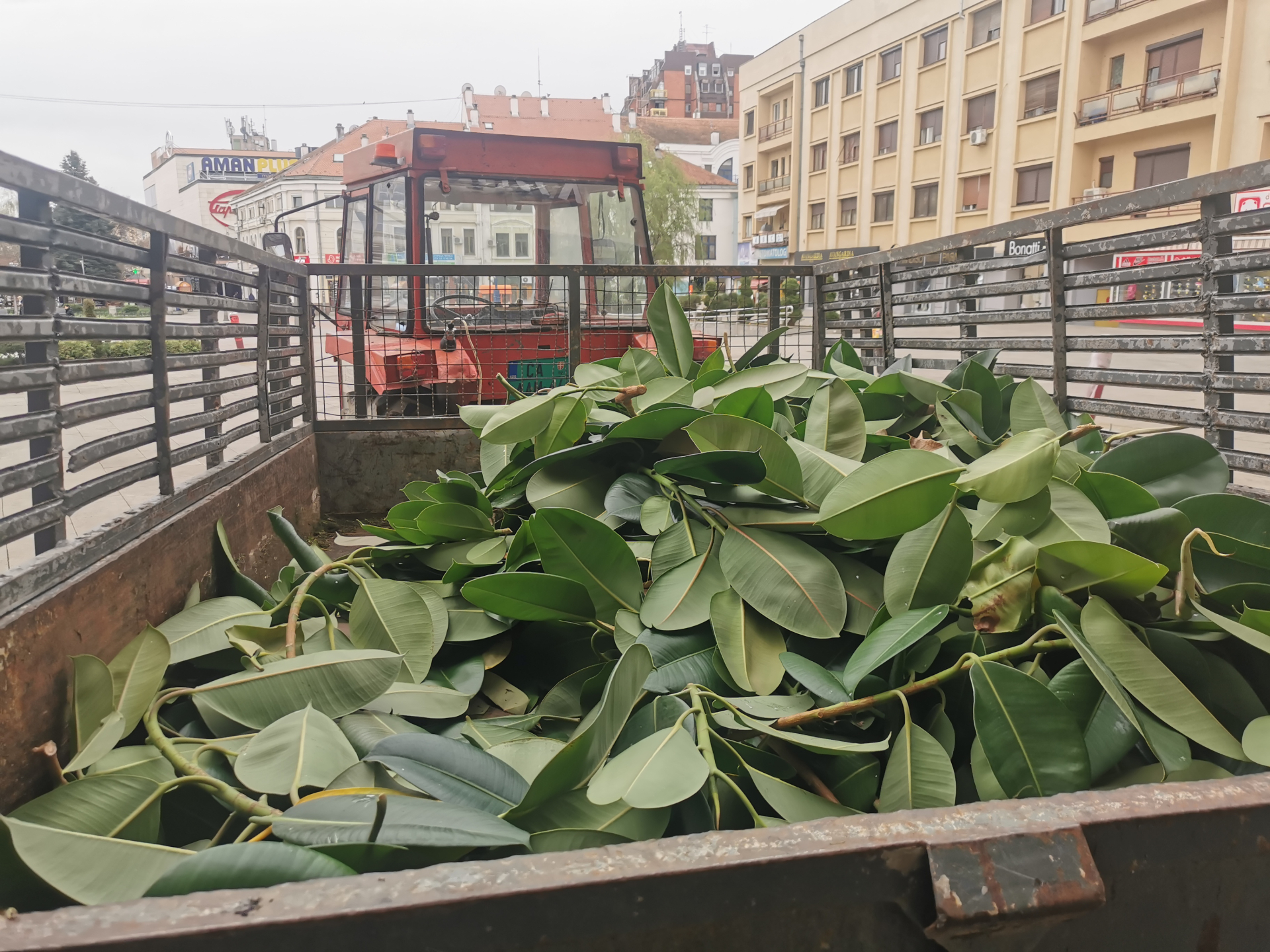 Neobičan prizor ovih dana u Kulturnom centru u Čačku/ Foto: RINA