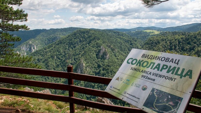 Nema drvoseča u Račanskoj Šljivovici, niti se stabla seku u zaštićenom području: Hitno se oglasili iz Nacionalnog parka Tara i demantovali navode koji su se pojavili