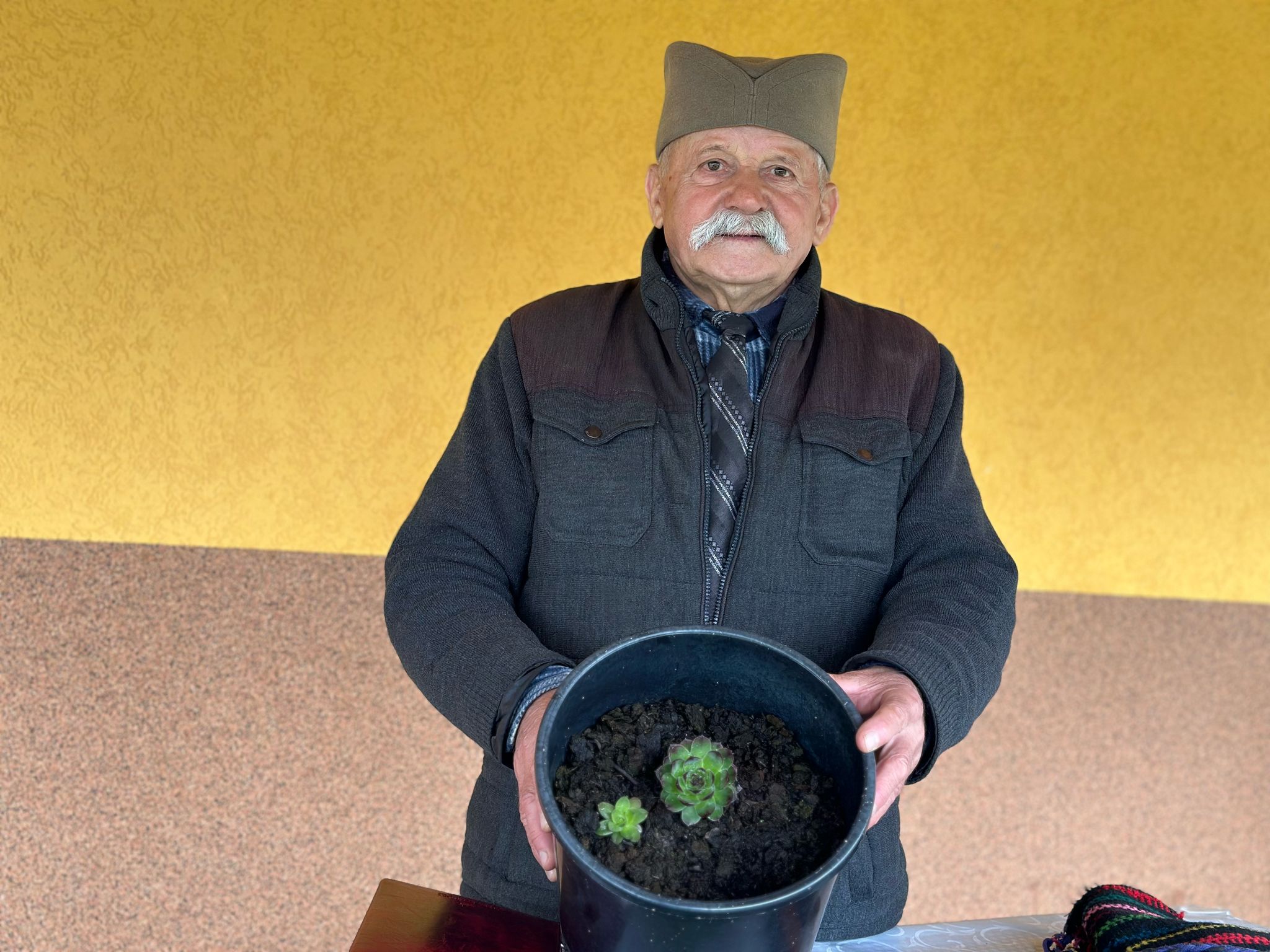 Ovu biljku smatraju čudom prirode, leči mnoge boljke i kod žena i kod muškaraca: Čuveni travar Mirko otkriva sve o čuvarkući (FOTO)