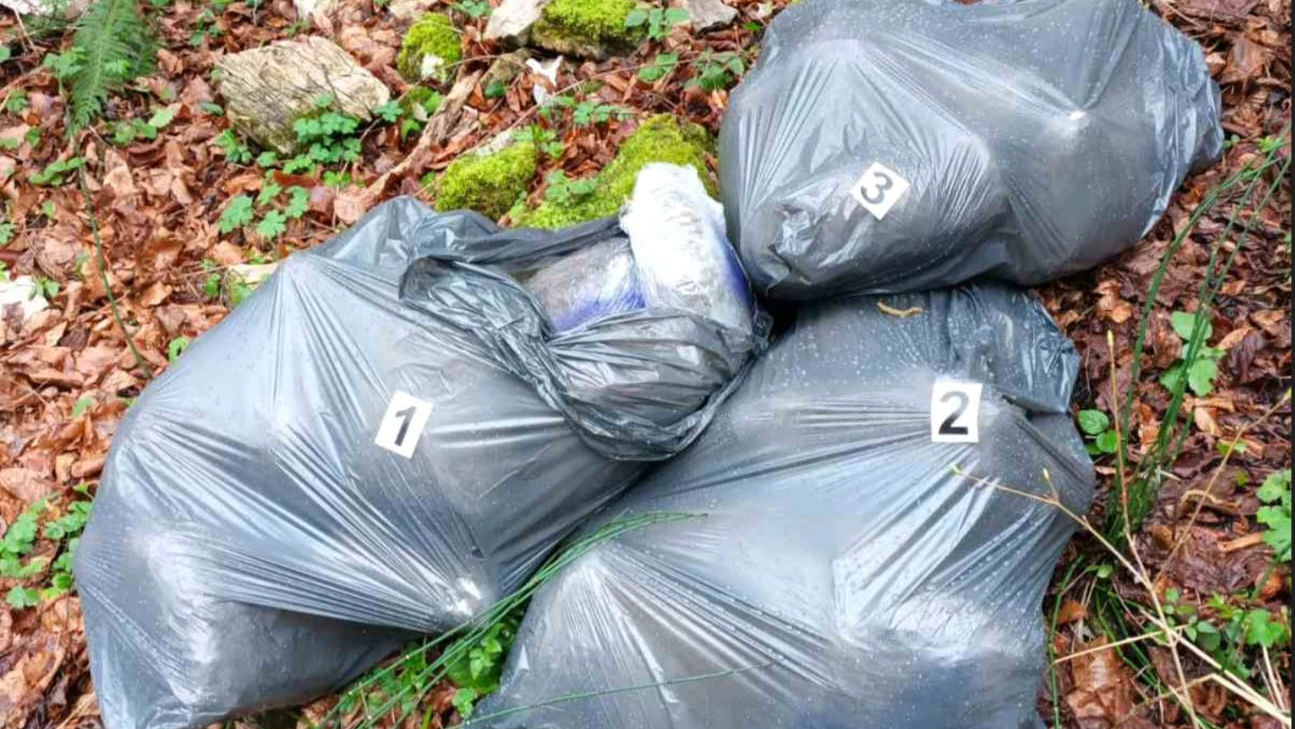 Marihuana vredna desetine hiljada evra pronađena u šumi kod Berana: Droga odmah poslata na veštačenje
