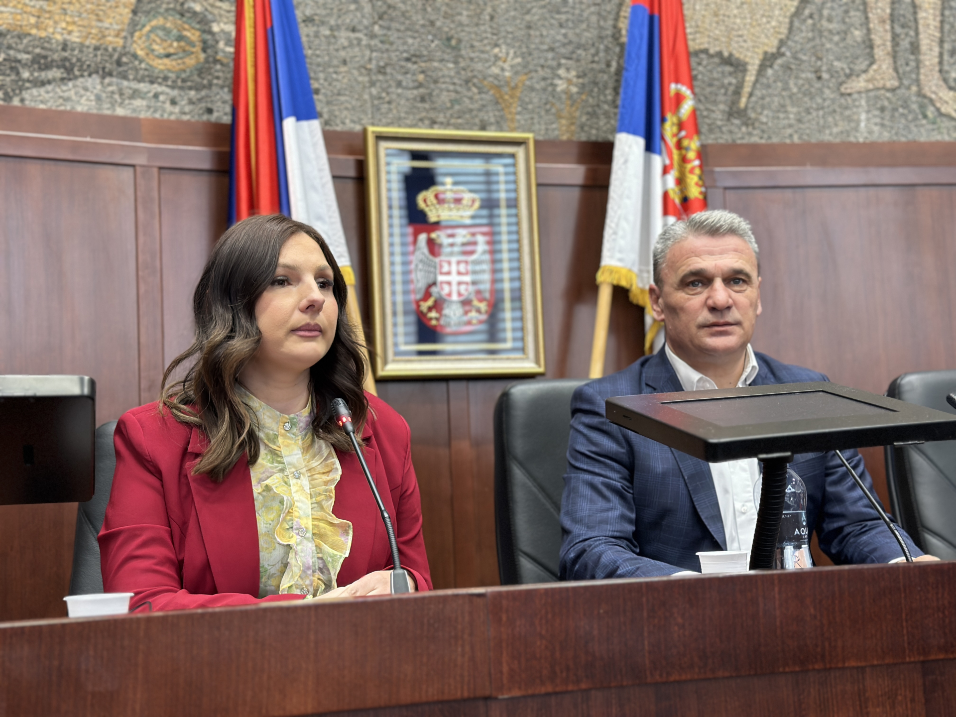 Realizovan projekat Zeleni plamen u Čačku / foto: RINA